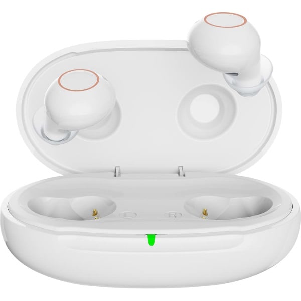 耳あな式 集音器 （両耳用） ＮＫ－７０１ 日健 タイプ:白