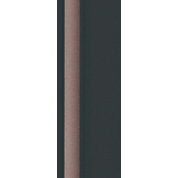 ステッキベーシックE 伸縮 フジホーム カラー:ブラック