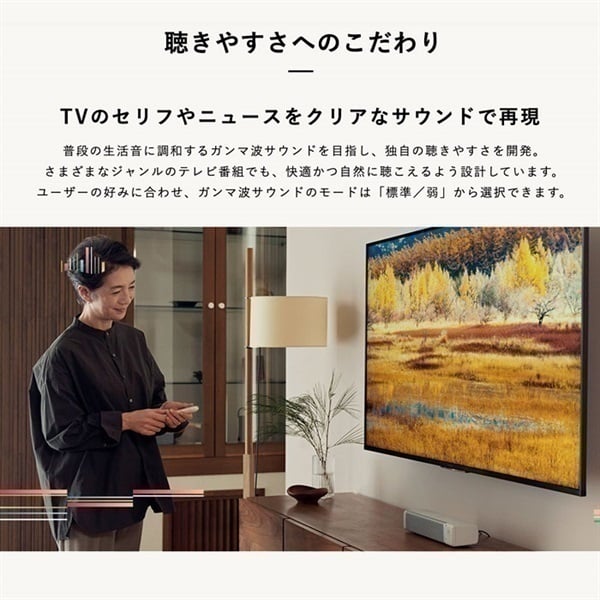 TVスピーカー ガンマ波サウンドケア PDAS001 ききっぱ kikippa シオノギヘルスケア 選択:本体＋利用料
