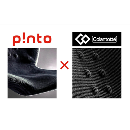 pi!nto　α