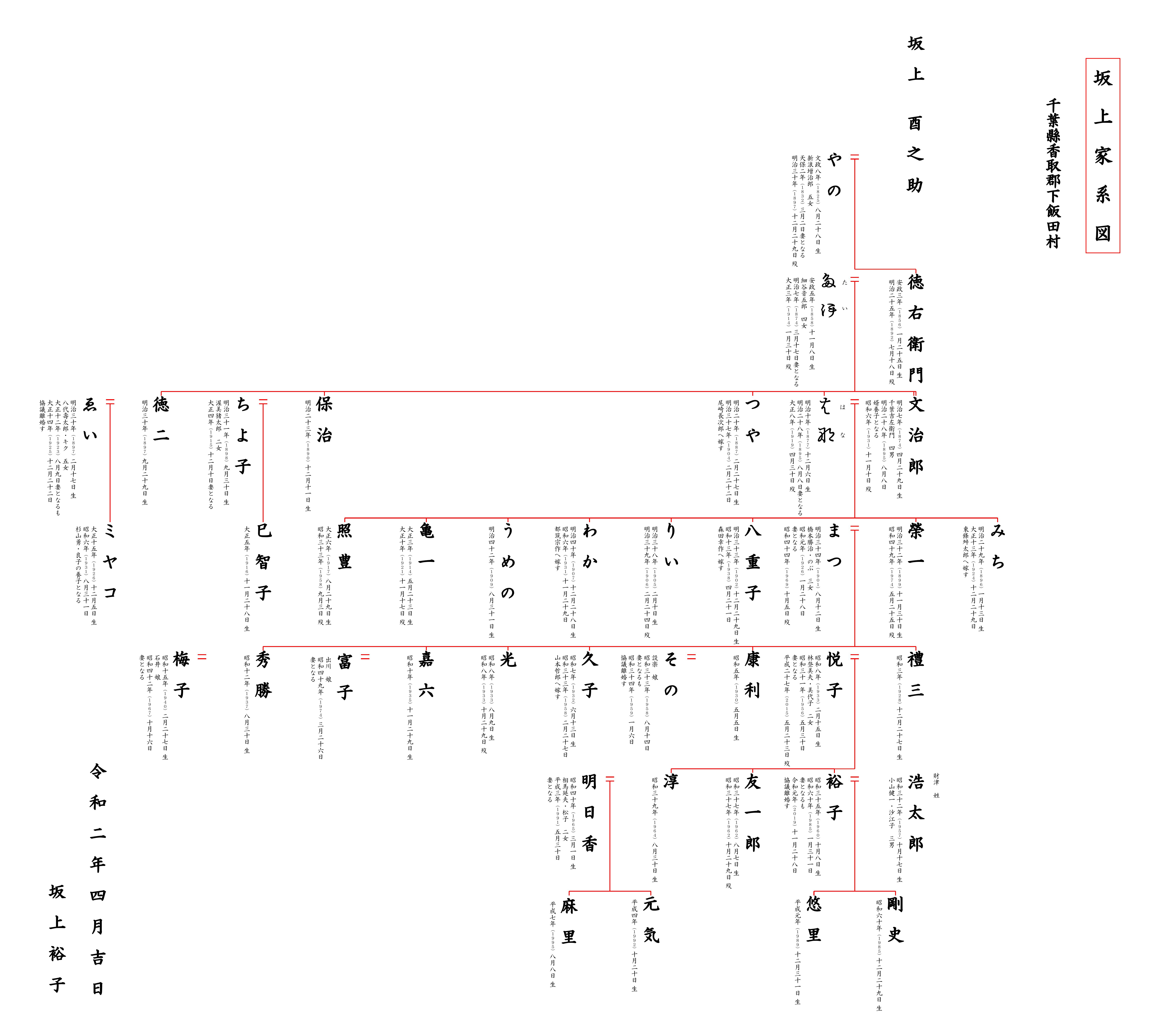 一般家系図シンプルプラン／1系統
