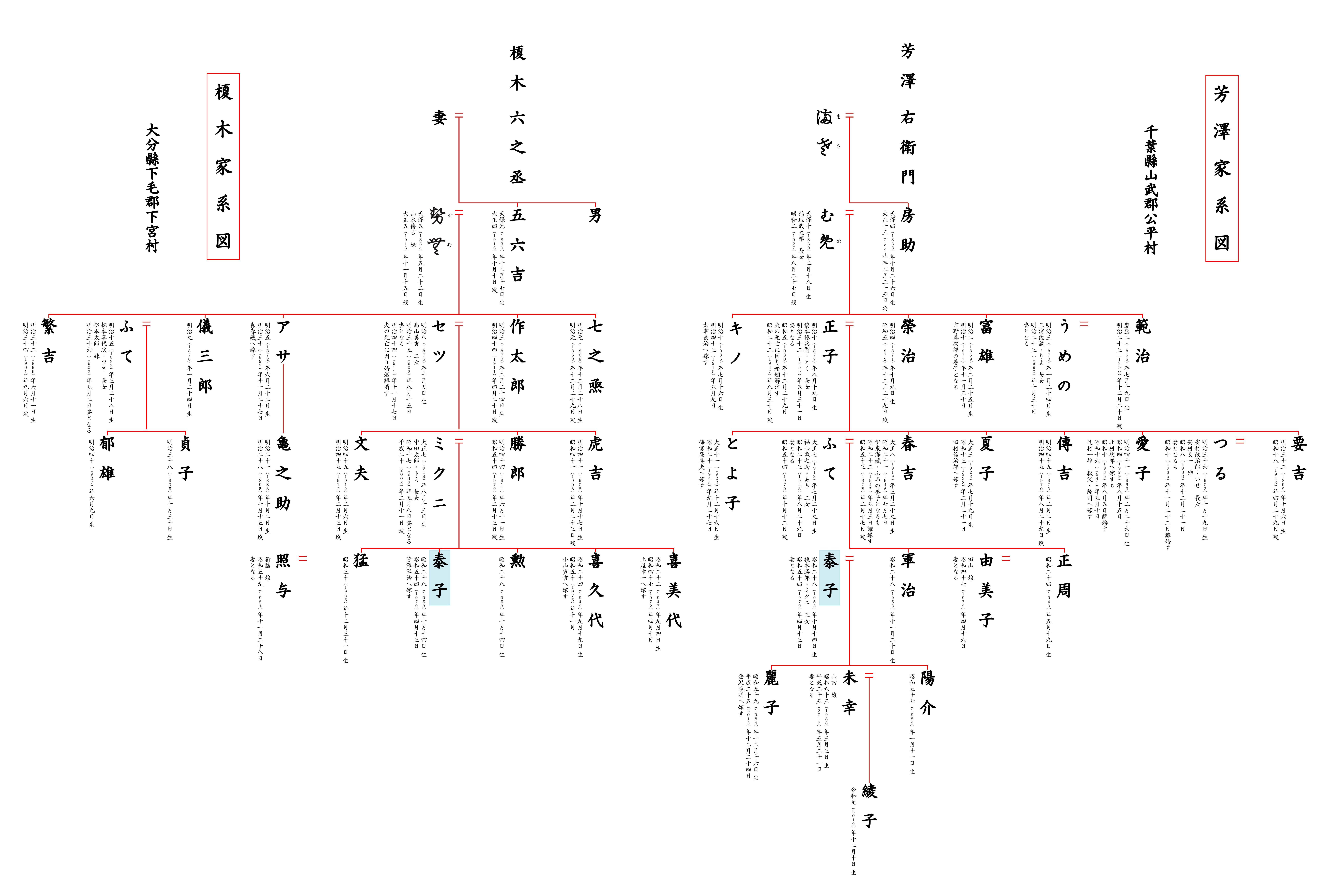 一般家系図シンプルプラン／3系統