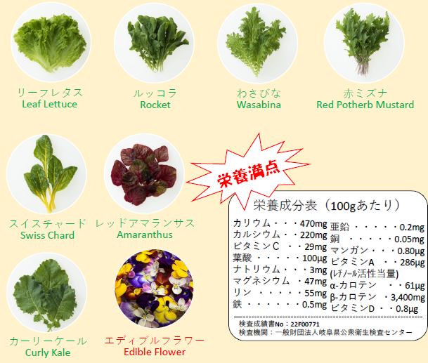 ブーケサラダ（3個入りセット）