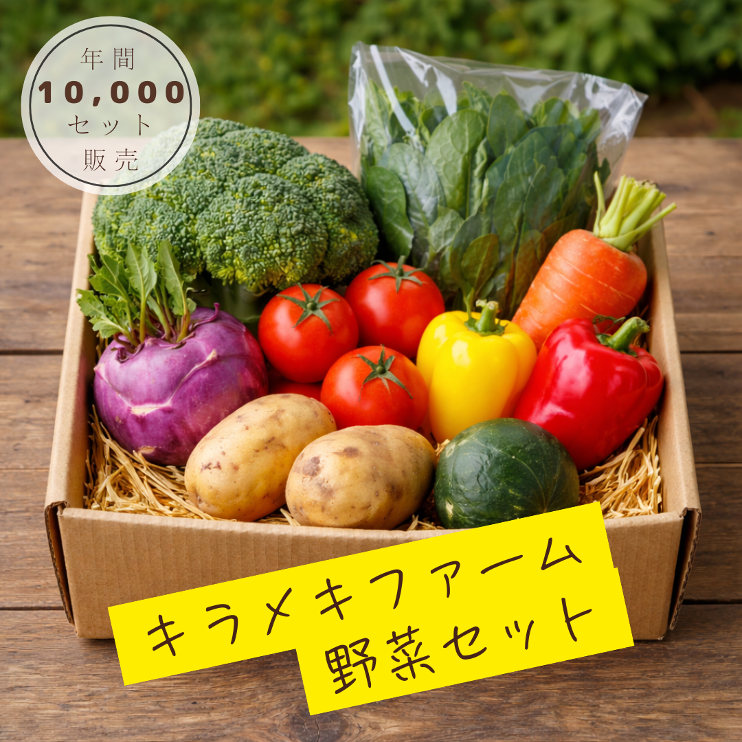 農家直送　旬の健康野菜セット（ミニ）