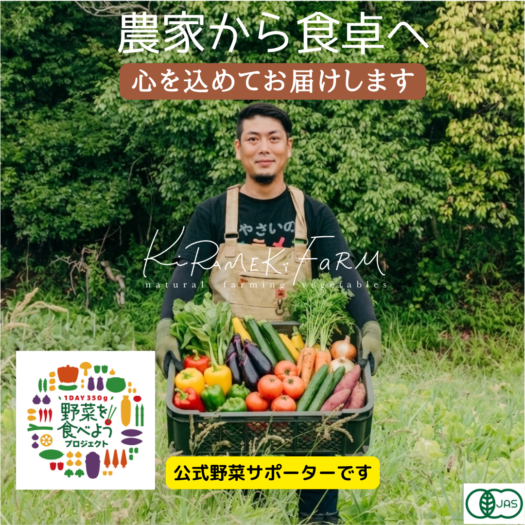 農家直送　旬の健康野菜セット（スタンダード）