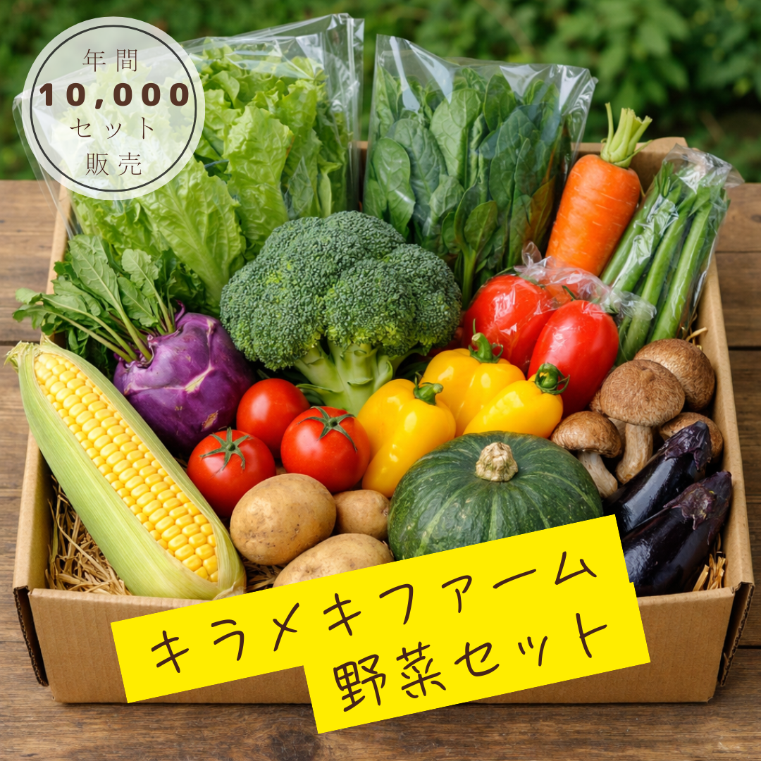農家直送　旬の健康野菜セット　定期購入（スタンダード）