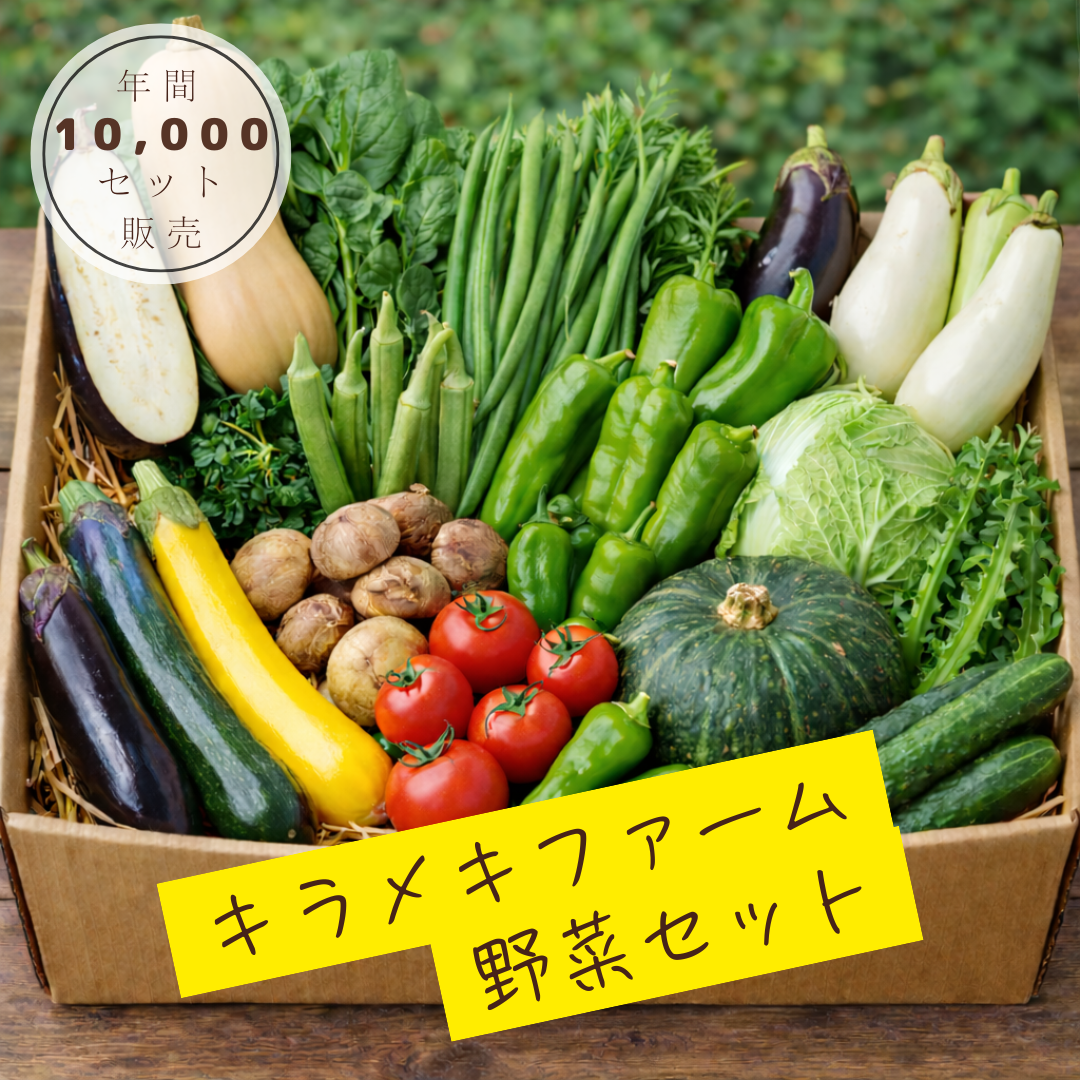 農家直送　旬の健康野菜セット（プレミアム）