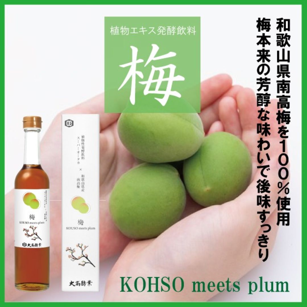 梅　ＫＯＨＳＯ　ｍｅｅｔｓ　ｐｌｕｍ