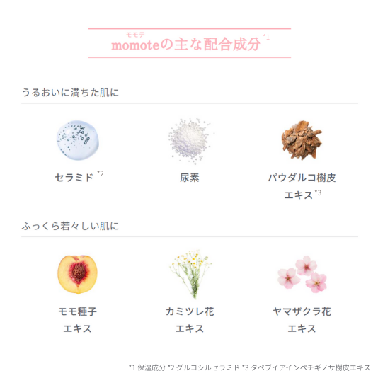 モモテ　泡洗顔料