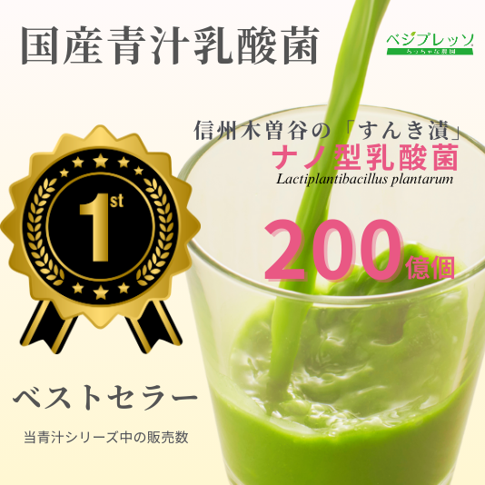 国産青汁乳酸菌（箱入）3箱60日定期便　【送料無料】