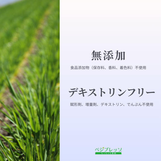 青汁サラシア（箱入）