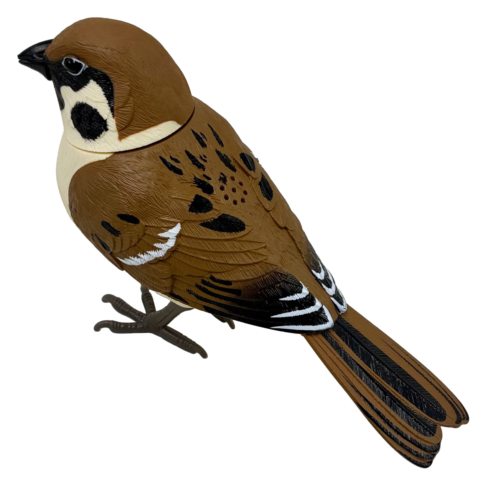 日本の野鳥ミュージックバード　スズメ