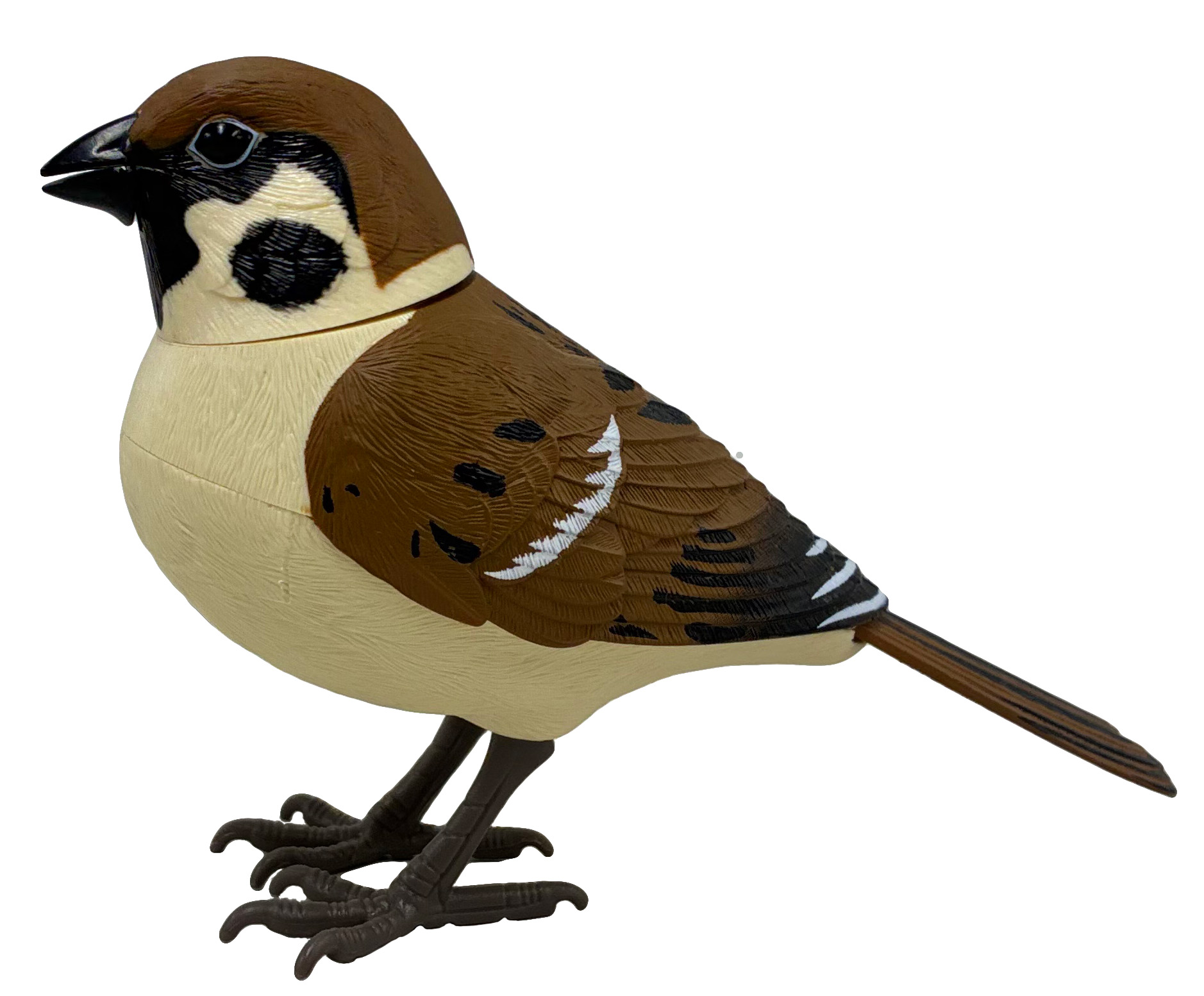 日本の野鳥ミュージックバード　スズメ