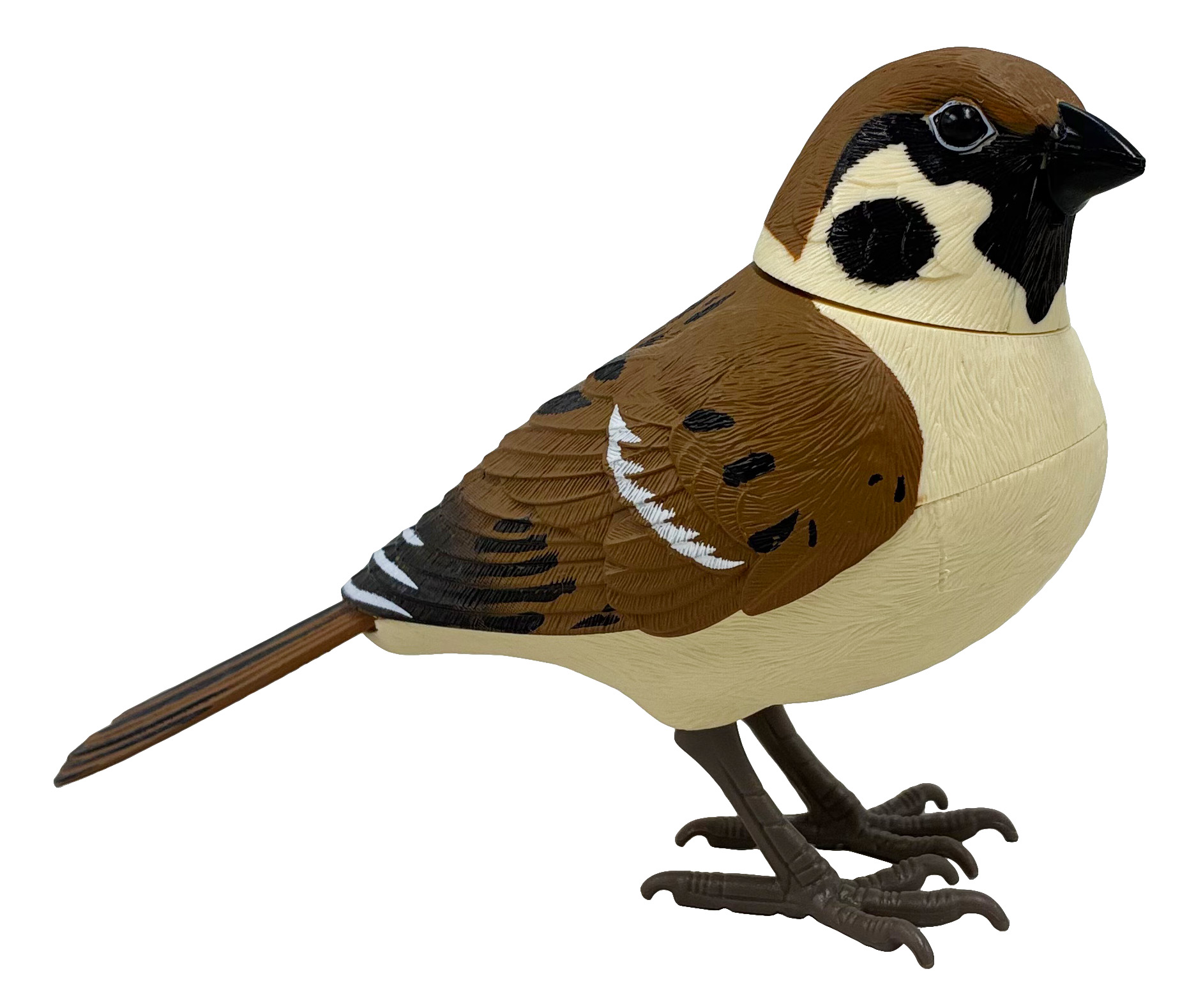 日本の野鳥ミュージックバード　スズメ