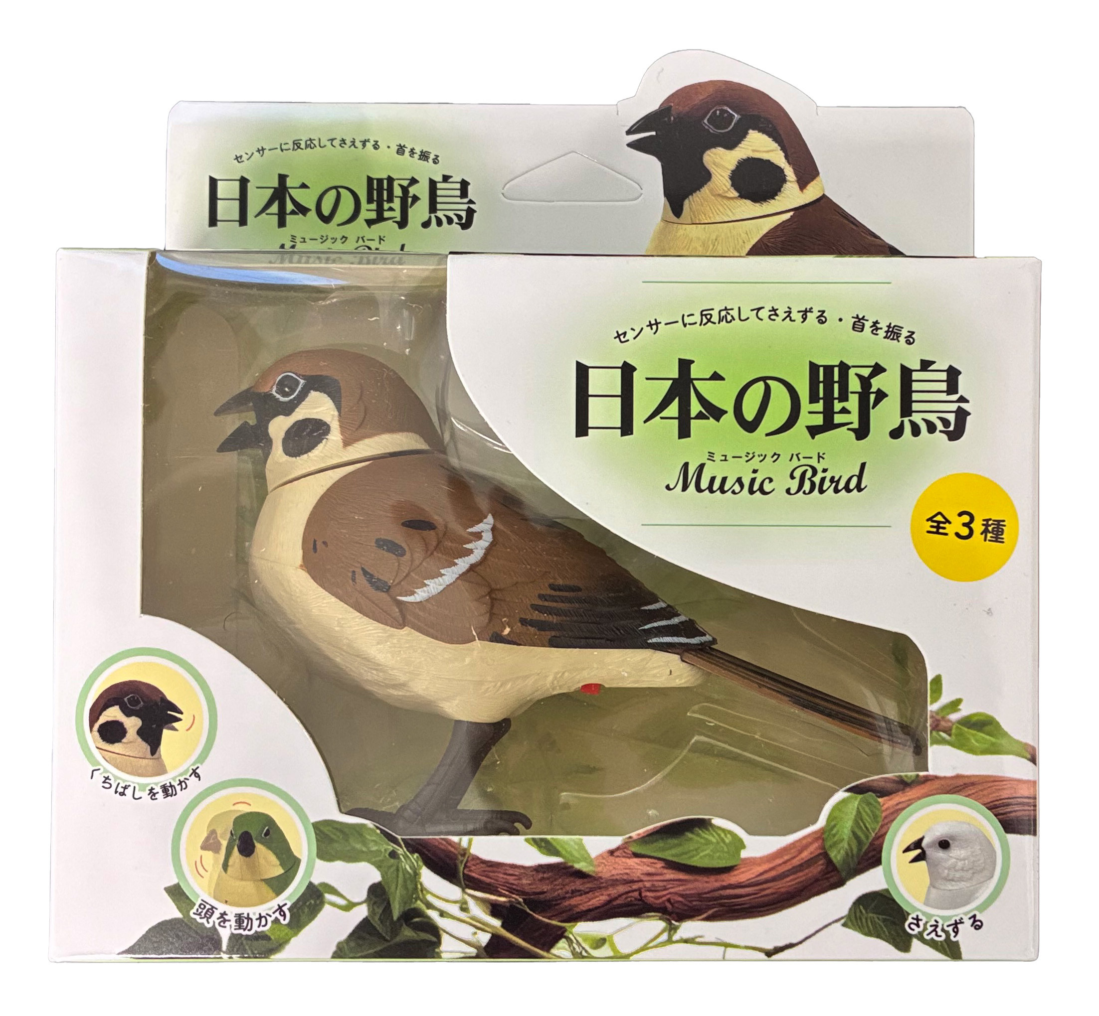 日本の野鳥ミュージックバード　スズメ