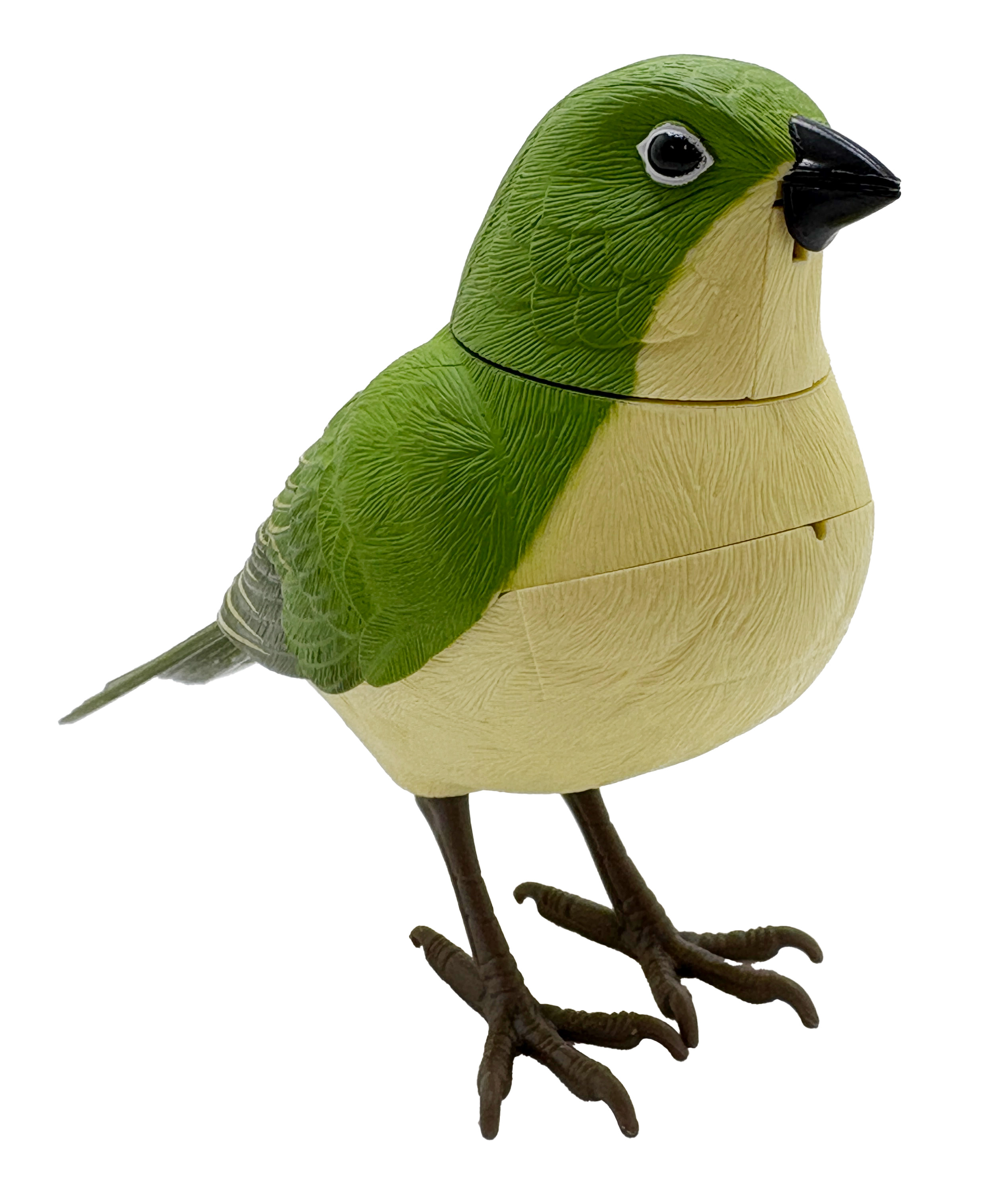 日本の野鳥ミュージックバード　メジロ