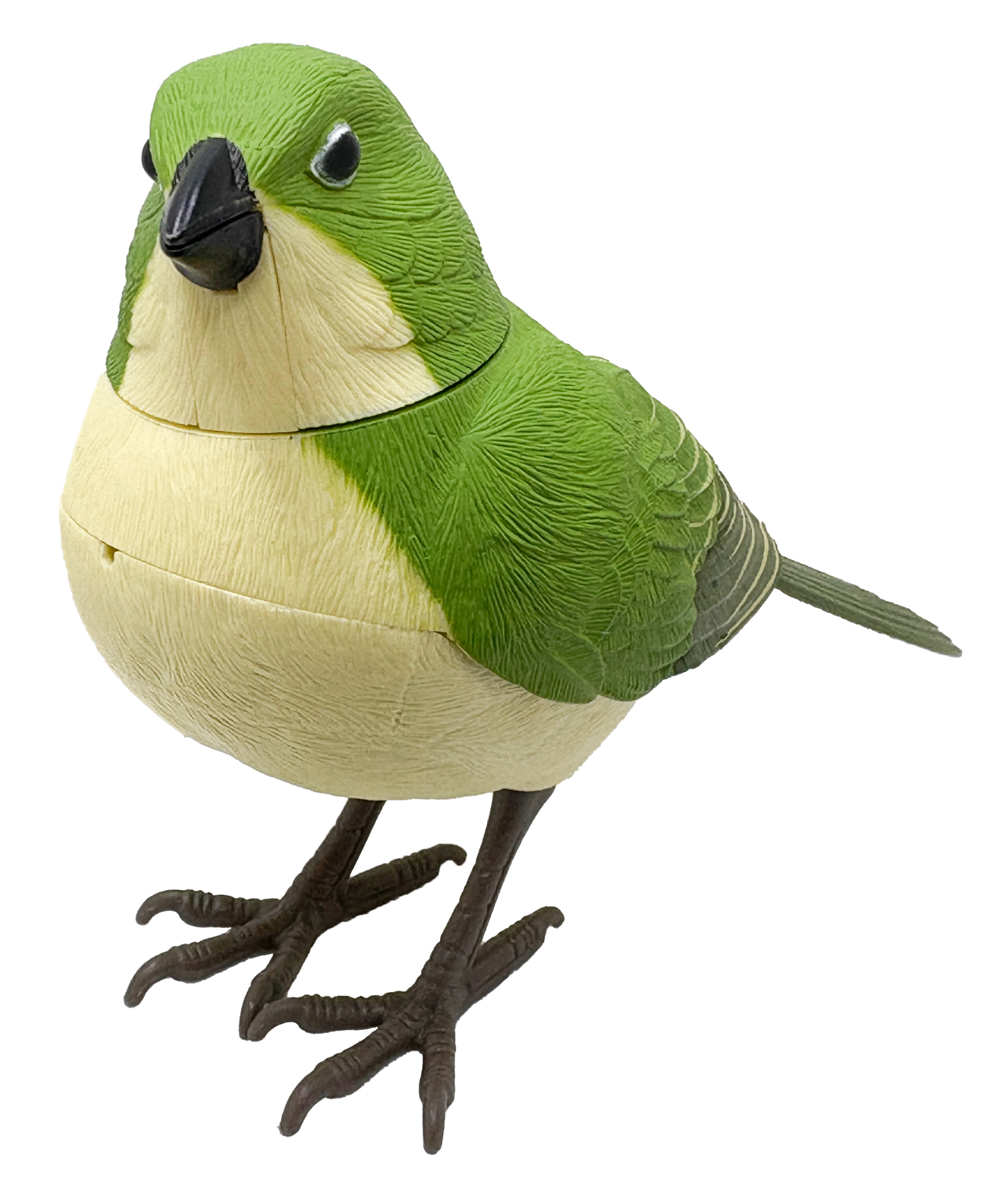 日本の野鳥ミュージックバード　メジロ