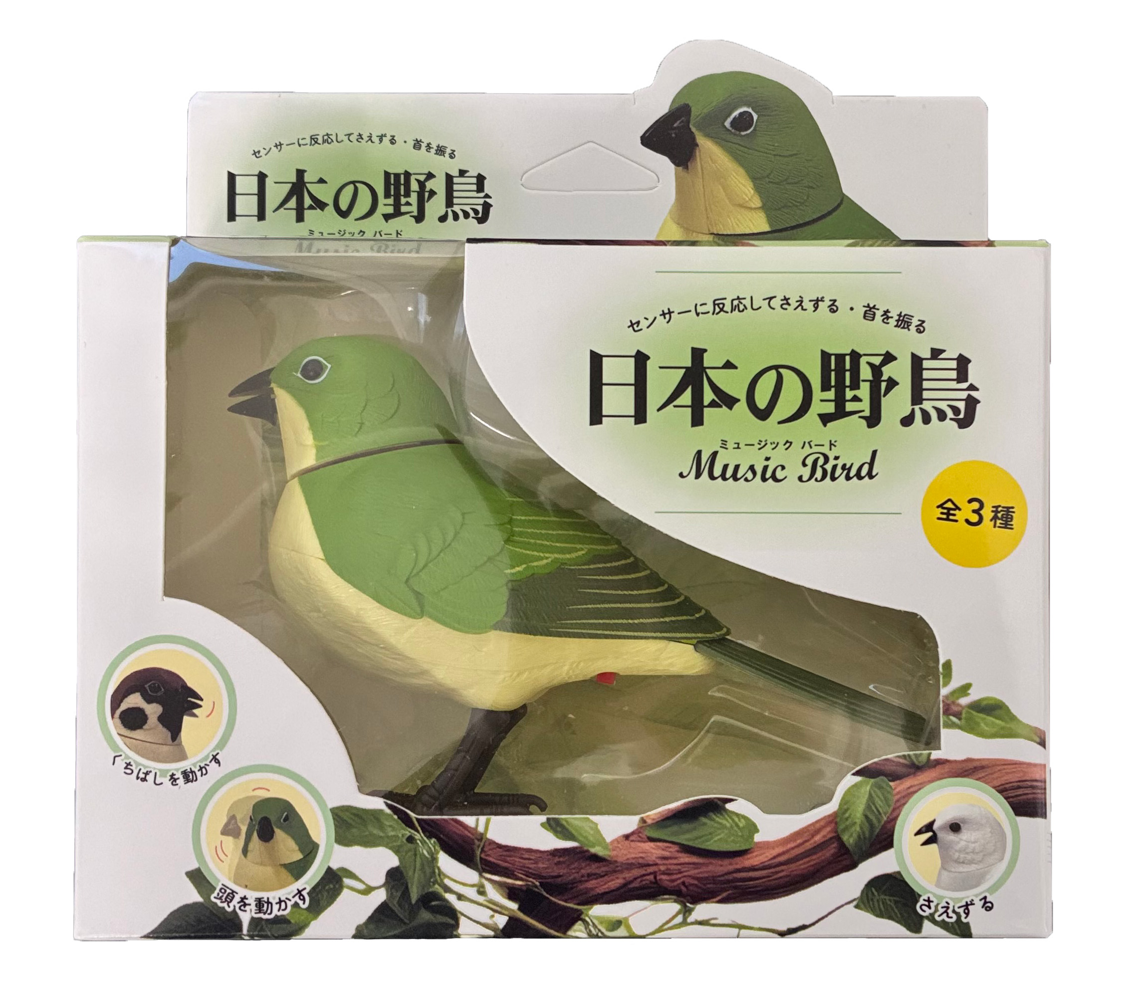 日本の野鳥ミュージックバード　メジロ