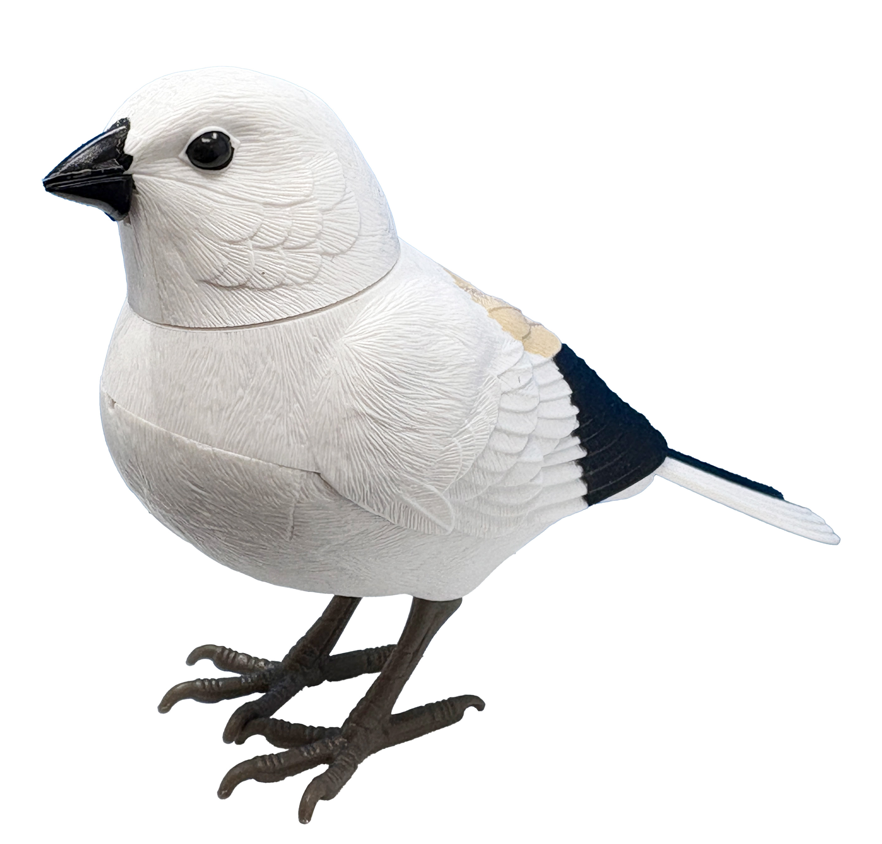 日本の野鳥ミュージックバード　シマエナガ