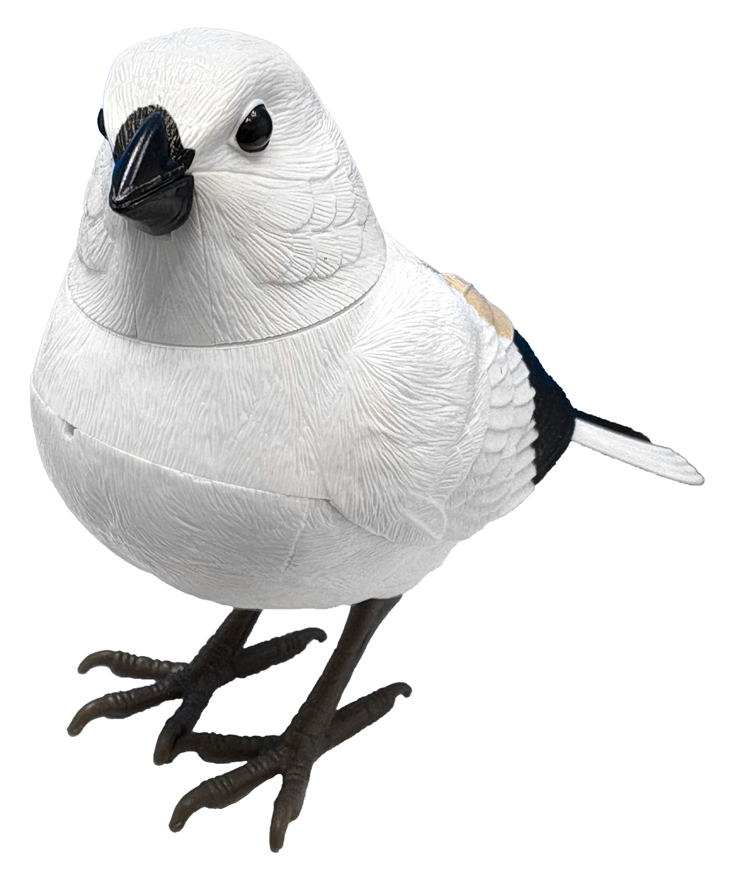 日本の野鳥ミュージックバード　シマエナガ