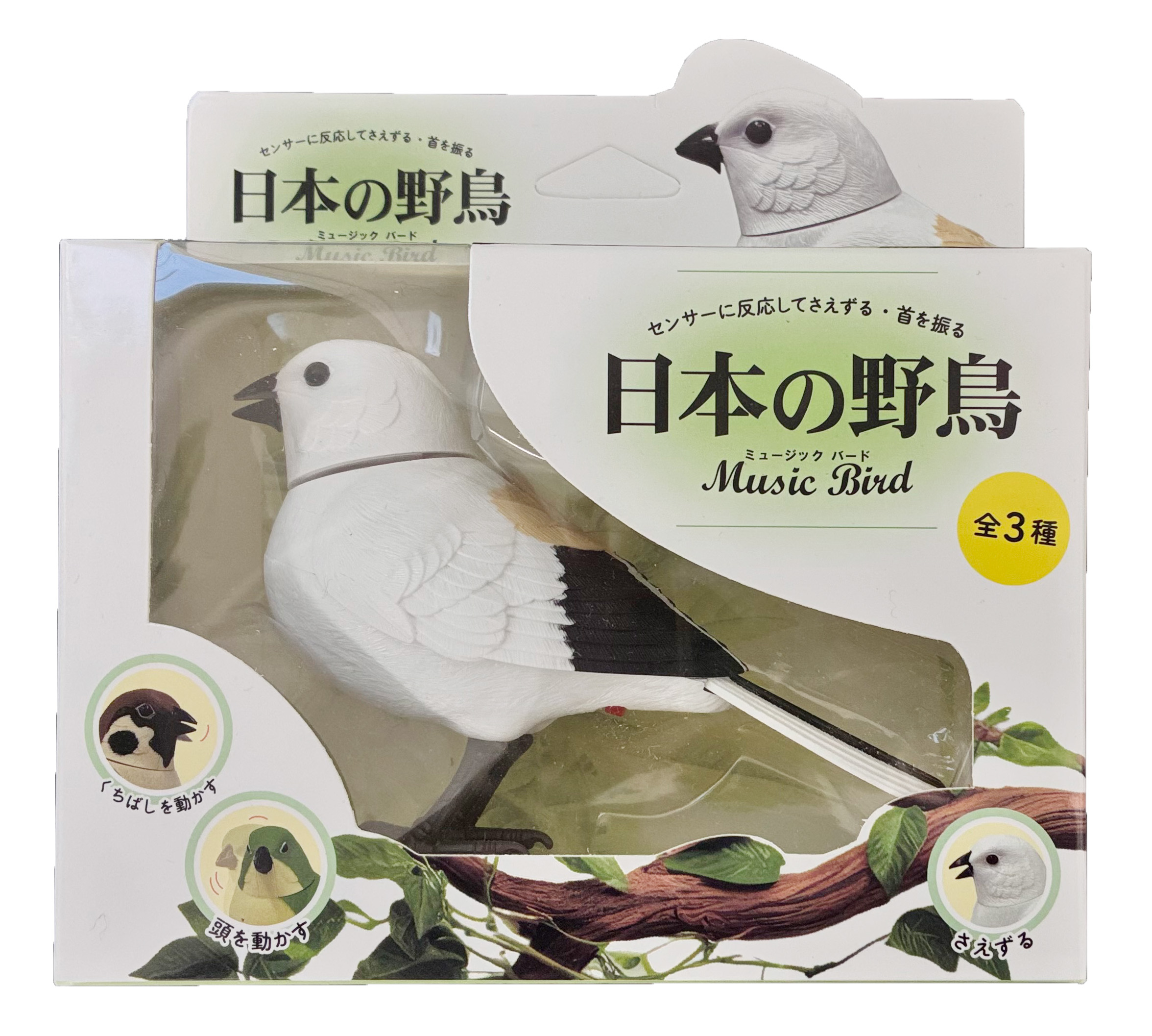 日本の野鳥ミュージックバード　シマエナガ