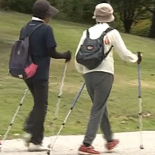 ウォーキングポール16フリックレバー