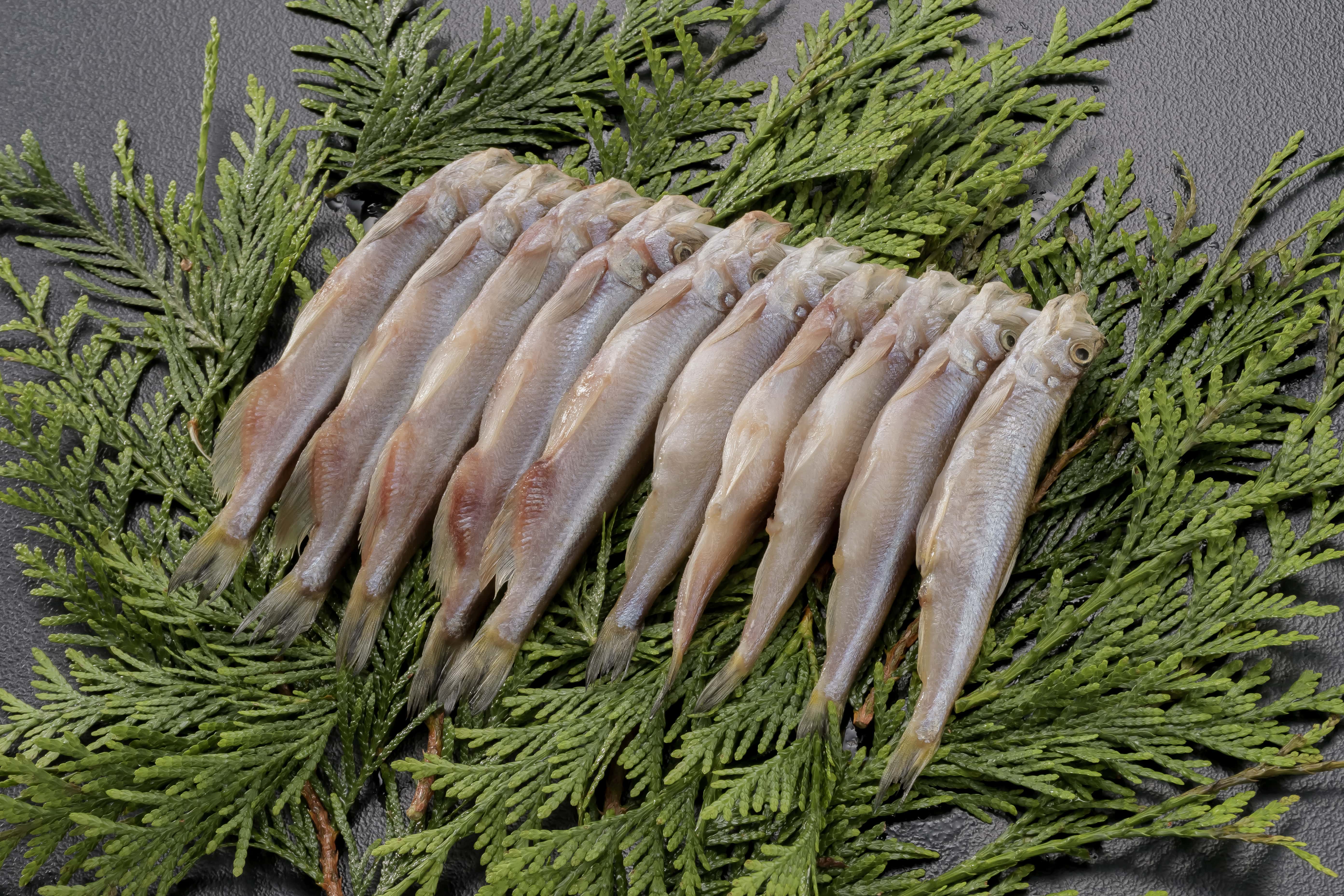 本ししゃもオス１０尾　メス１０尾セット