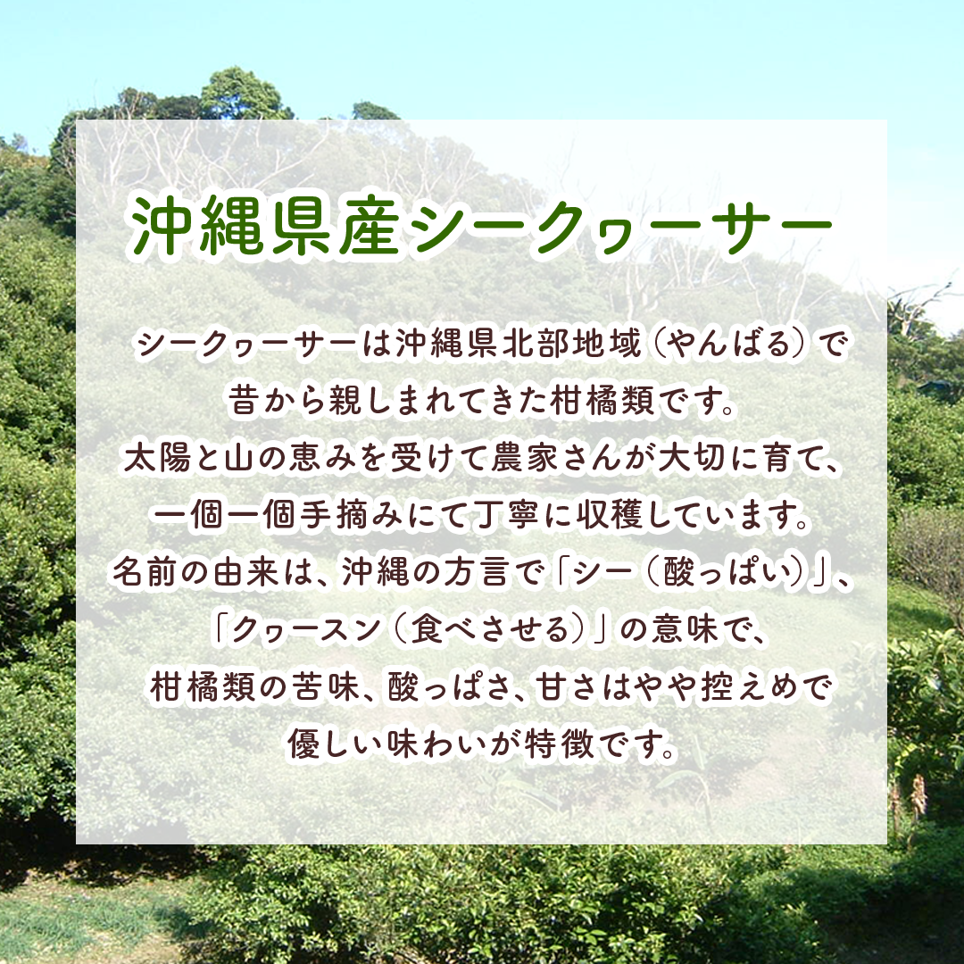 沖縄シークヮーサーパウダー