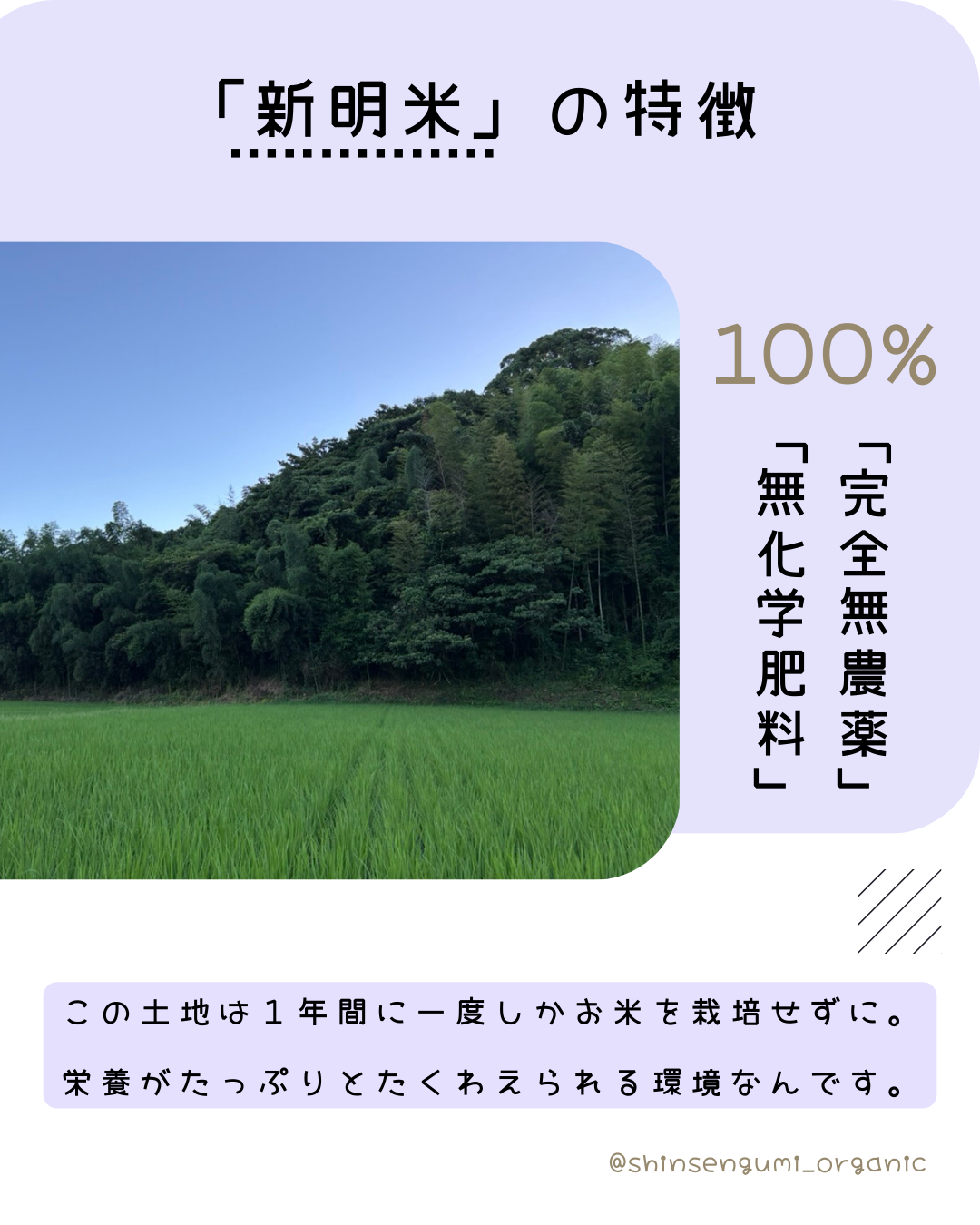 100%自然栽培「新明米 」2kg (玄米) 農薬、化学肥料不使用