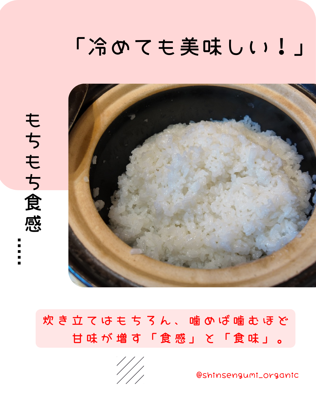 100%自然栽培「新明米 」2kg (白米) 農薬、化学肥料不使用