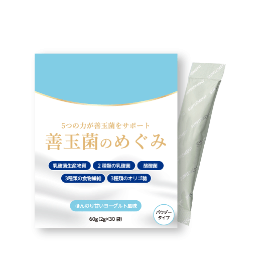 善玉菌のめぐみ 2g×30袋