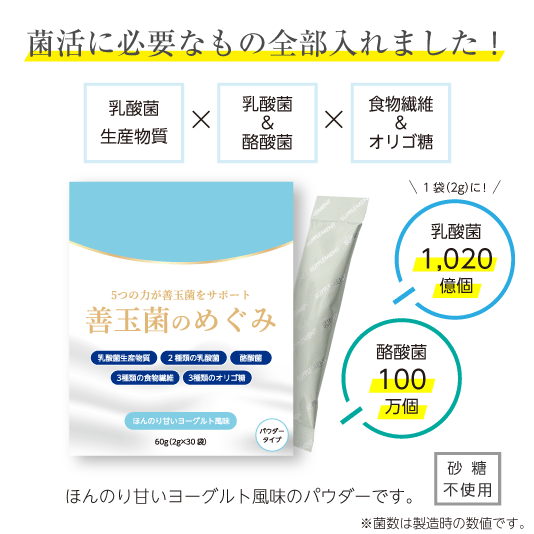 善玉菌のめぐみ 2g×30袋