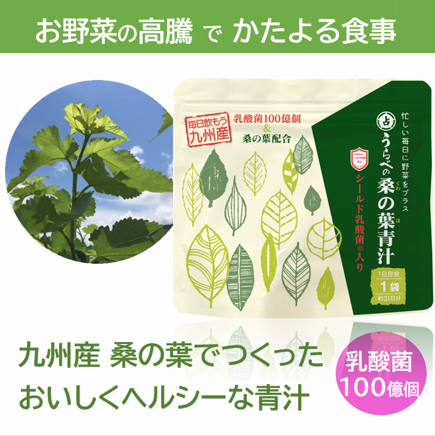 うらべの 桑の葉青汁