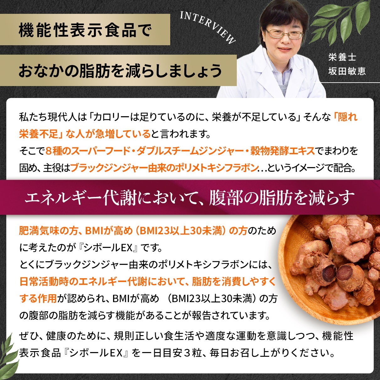 シボールＥＸ