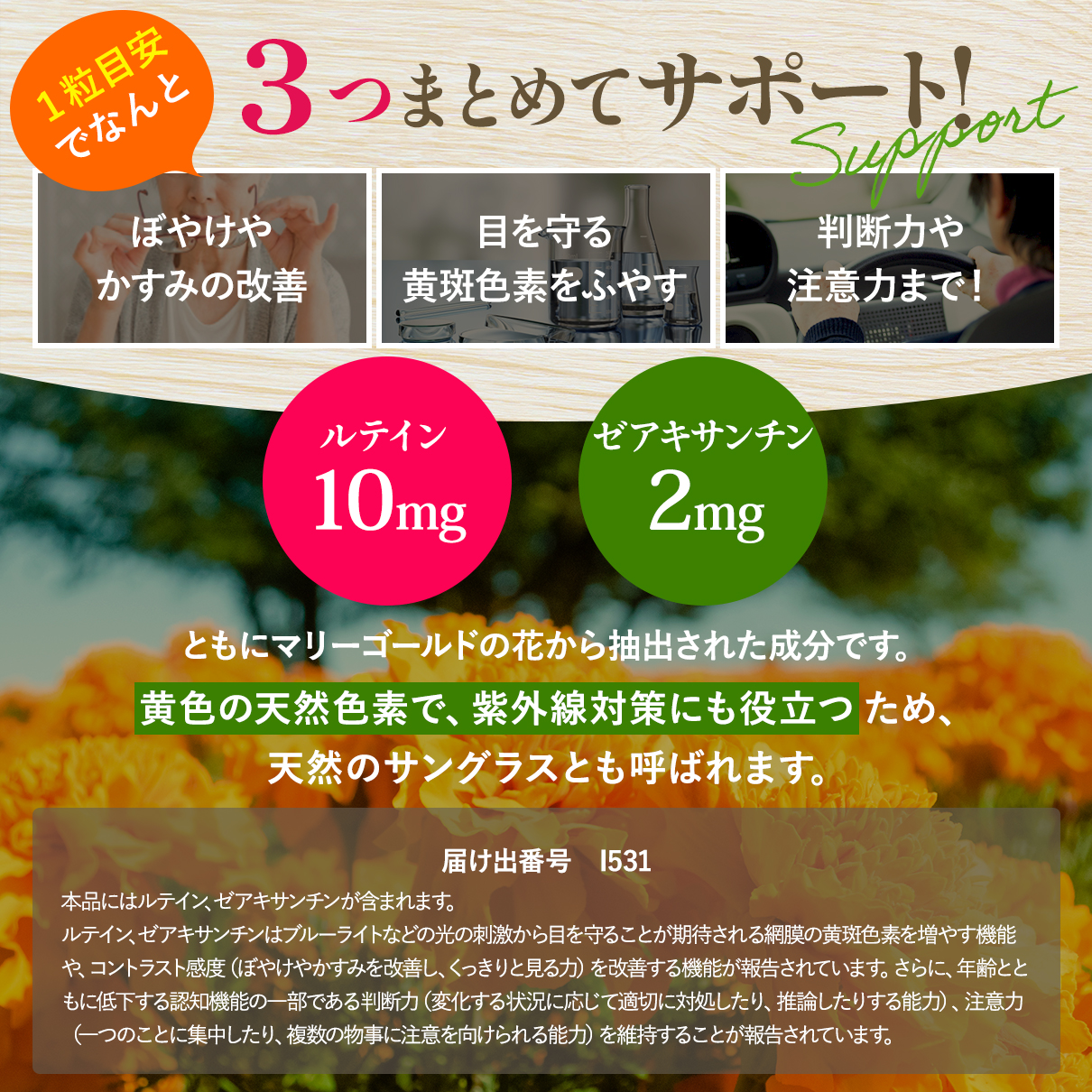 ルテイン＆6種のベリー