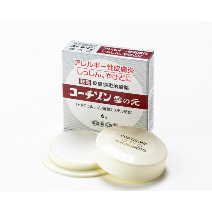 コーチゾン雪の元 6g