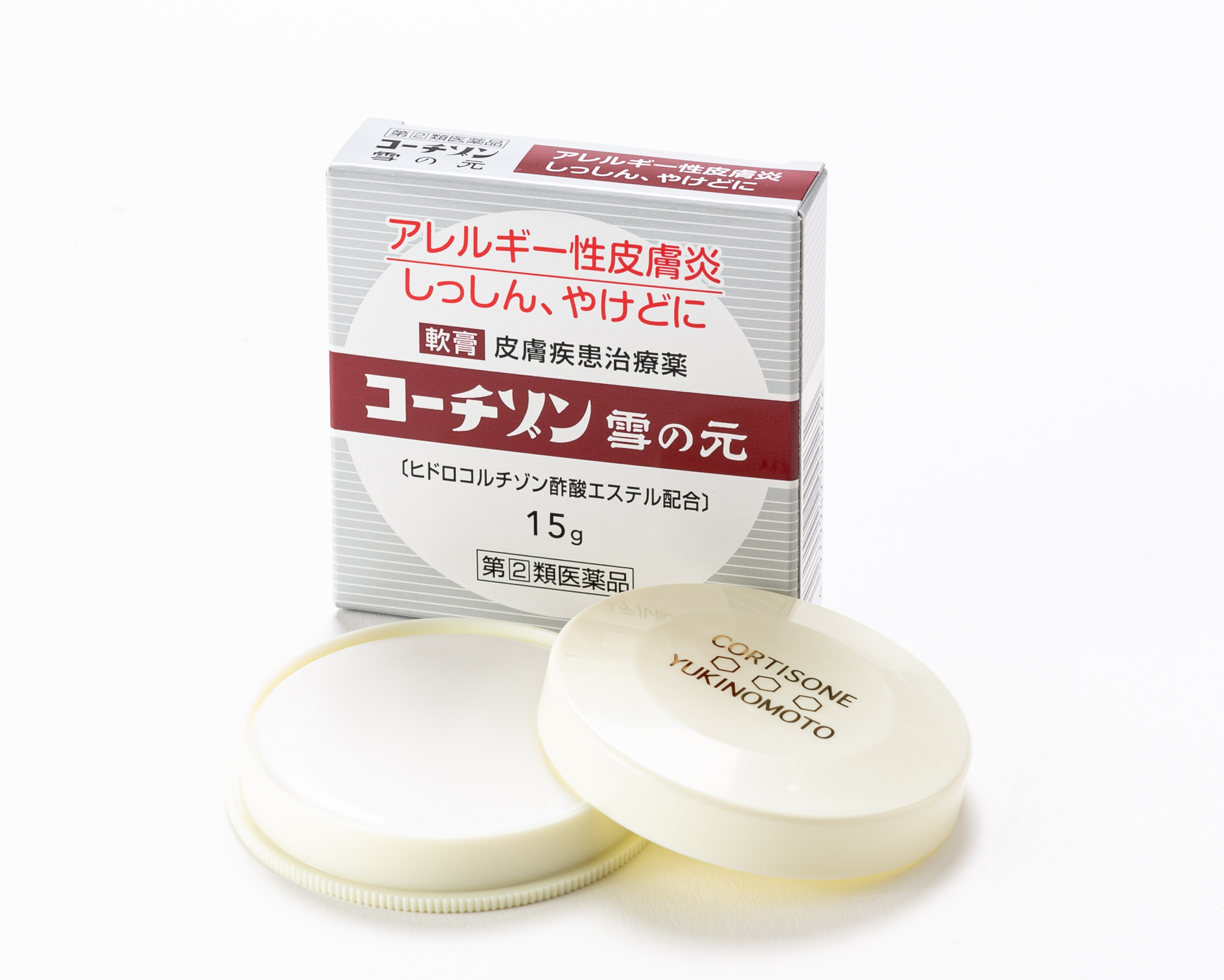 コーチゾン雪の元 15g