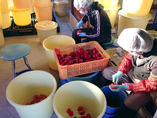 酵素酢 柿の神髄　卓上用ボトル