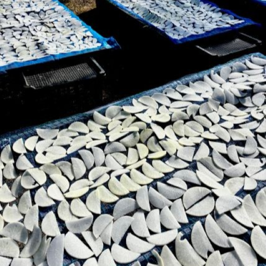 切干大根の柿酢漬