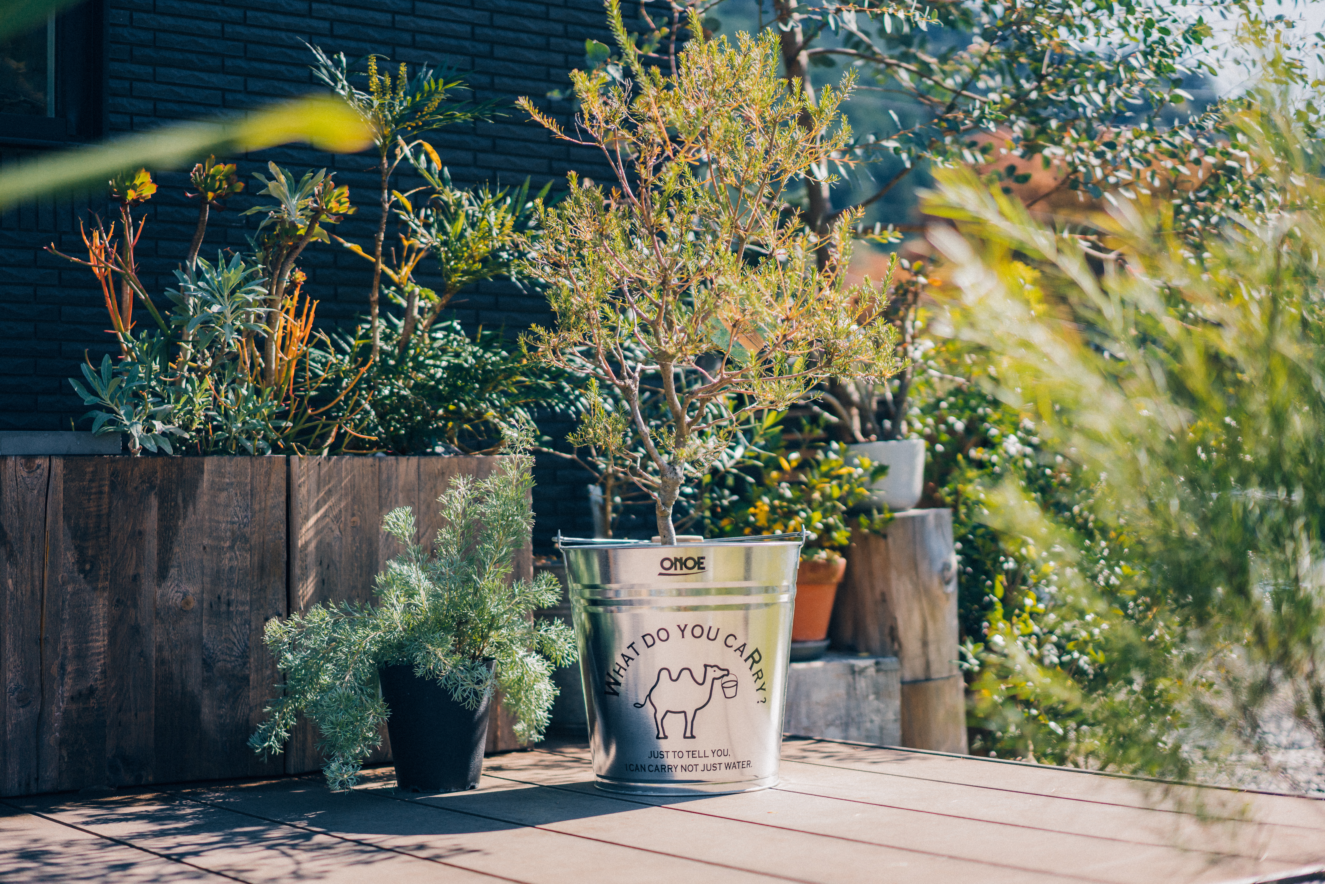 イラスト入バケツ12号　ブラック