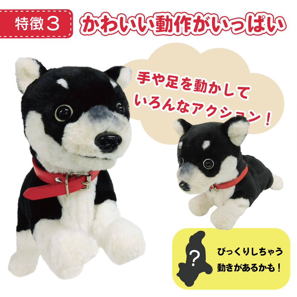 声を認識して歌って踊って返事するペット犬（ココドル 黒柴）TALK-DOG-K