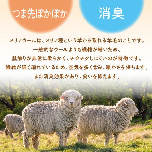 つま先の冷え対策にメリノウール素材のフットカバーを メリノつま先あったまるん