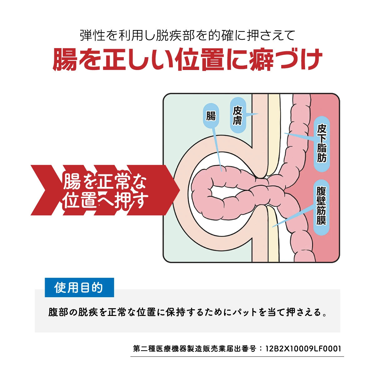 医療機器 脱腸ヘルニアバンド 脱腸サポーター 腸あんしん