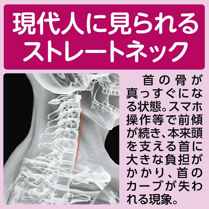 医療機器 Tech Love ネックストレッチャー プロ