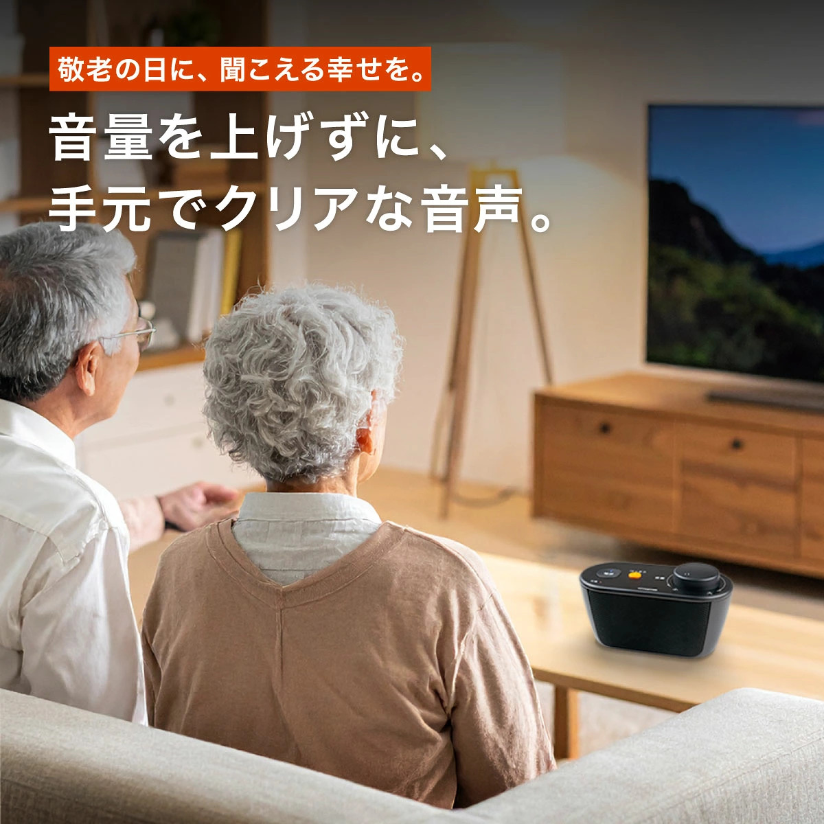 OTOMS お手元ワイヤレステレビスピーカー 快テレ君 VS-T300