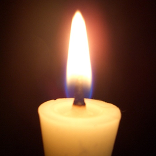 四季の花手描き１２本入り