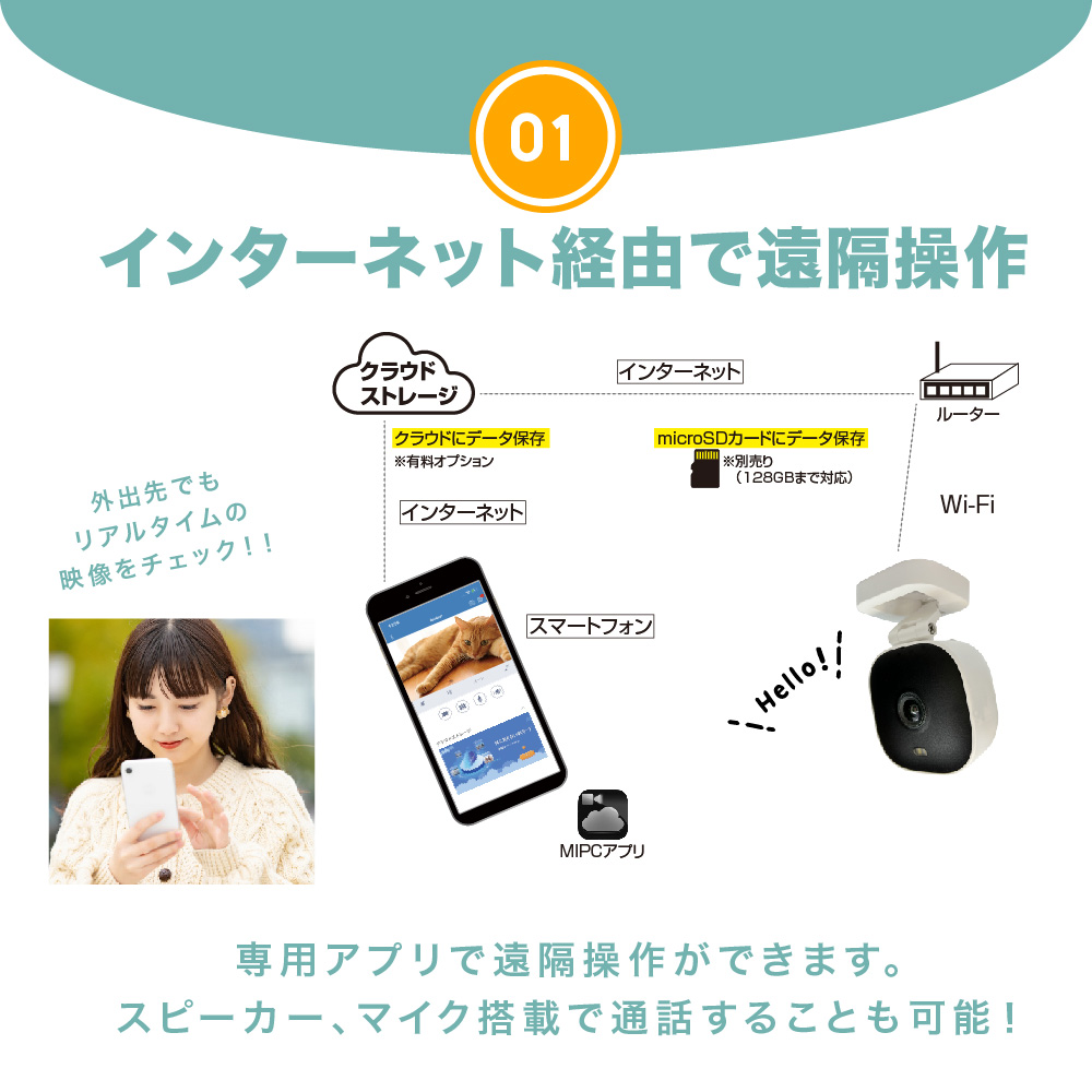 屋内外対応 防犯・見守りネットワークカメラ IP65