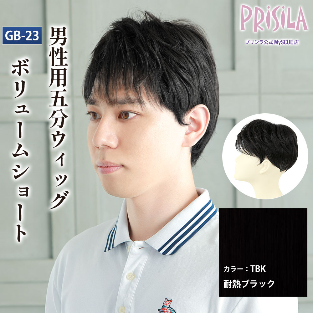【プリシラ】 男性用 5分ウィッグ ボリュームショート 耐熱ブラックGB-23-TBK