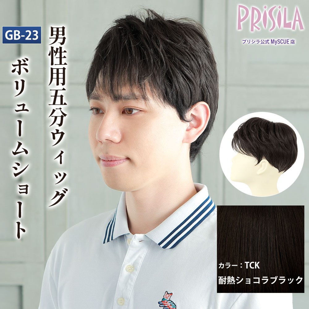 【プリシラ】 男性用 5分ウィッグ ボリュームショート 耐熱ショコラブラック GB-23-TCK