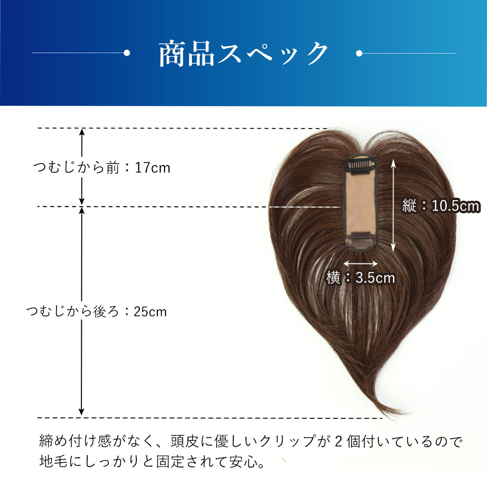 【プリシラ】 耐熱 白髪隠しウィッグ 分け目タイプ ナチュラルブラックハイメッシュ ST-005-2NHM